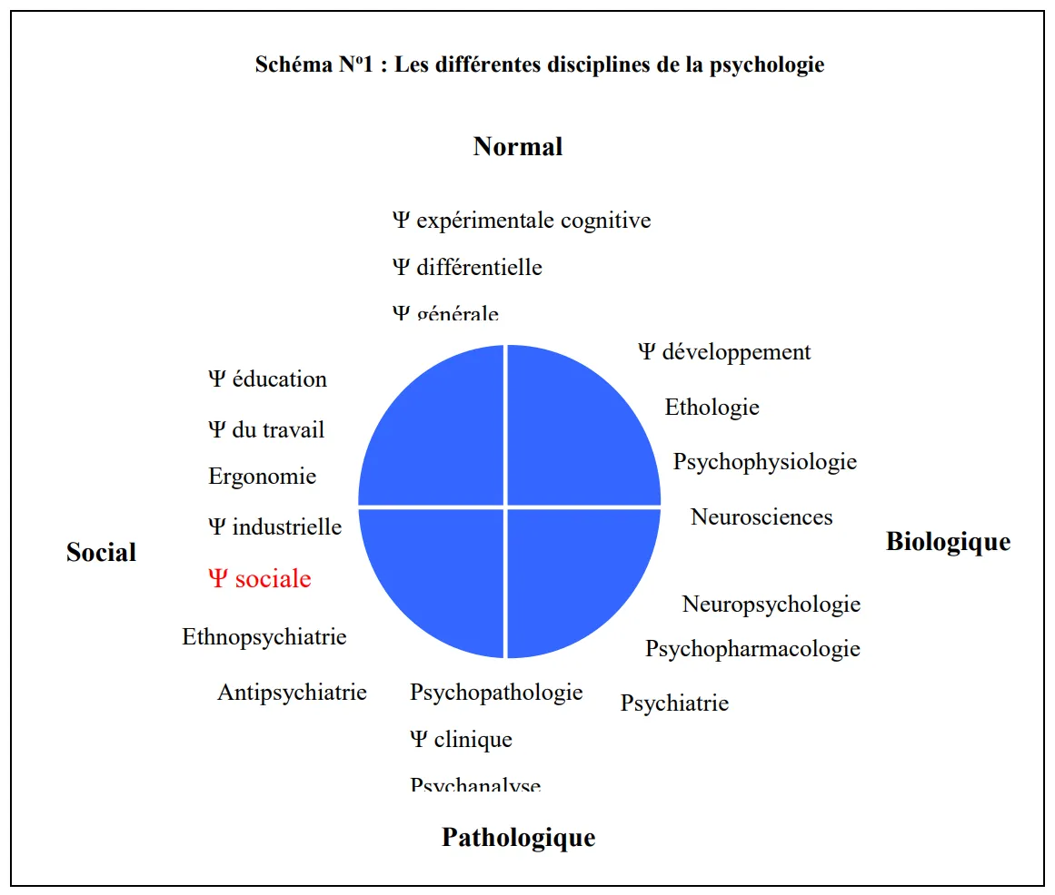 Schéma des différentes disciplines de la psychologie, réparties autour de quatre pôles : normal (psychologie expérimentale cognitive, différentielle, générale), biologique (psychologie du développement, éthologie, psychophysiologie, neurosciences, neuropsychologie, psychopharmacologie, psychiatrie), pathologique (psychopathologie, psychologie clinique, psychanalyse) et social (psychologie de l’éducation, du travail, ergonomie, psychologie industrielle, psychologie sociale, ethnopsychiatrie, antipsychiatrie).